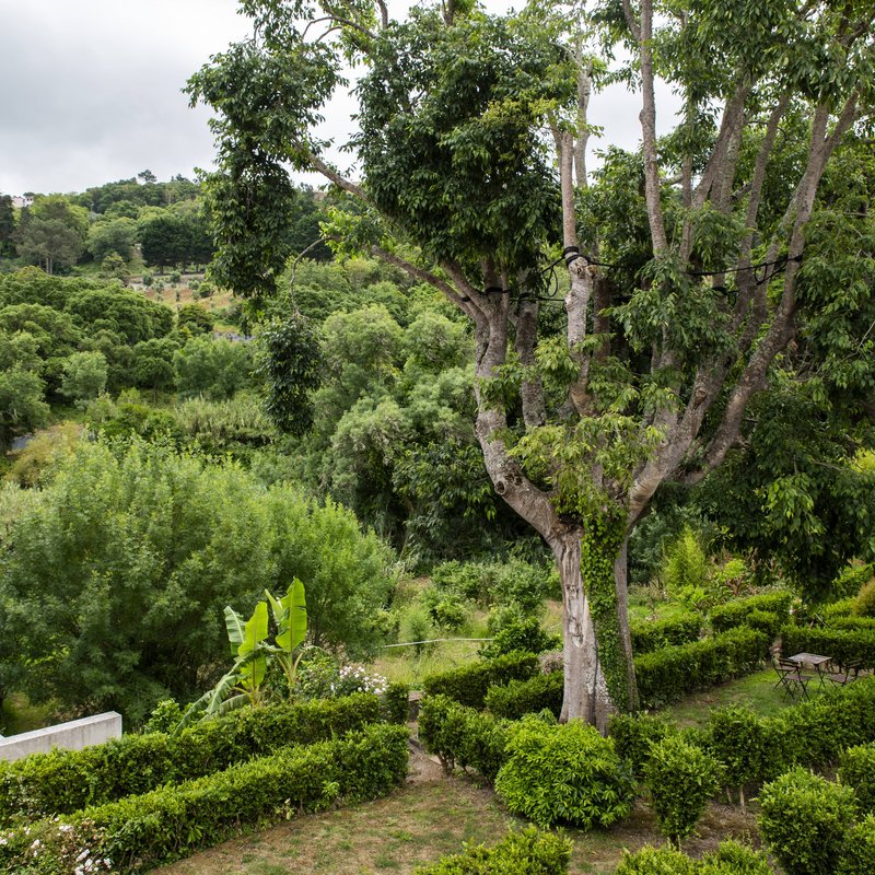 Wot Soul - Wot Sarrazola Quartos Family Room With Balcony - 6600