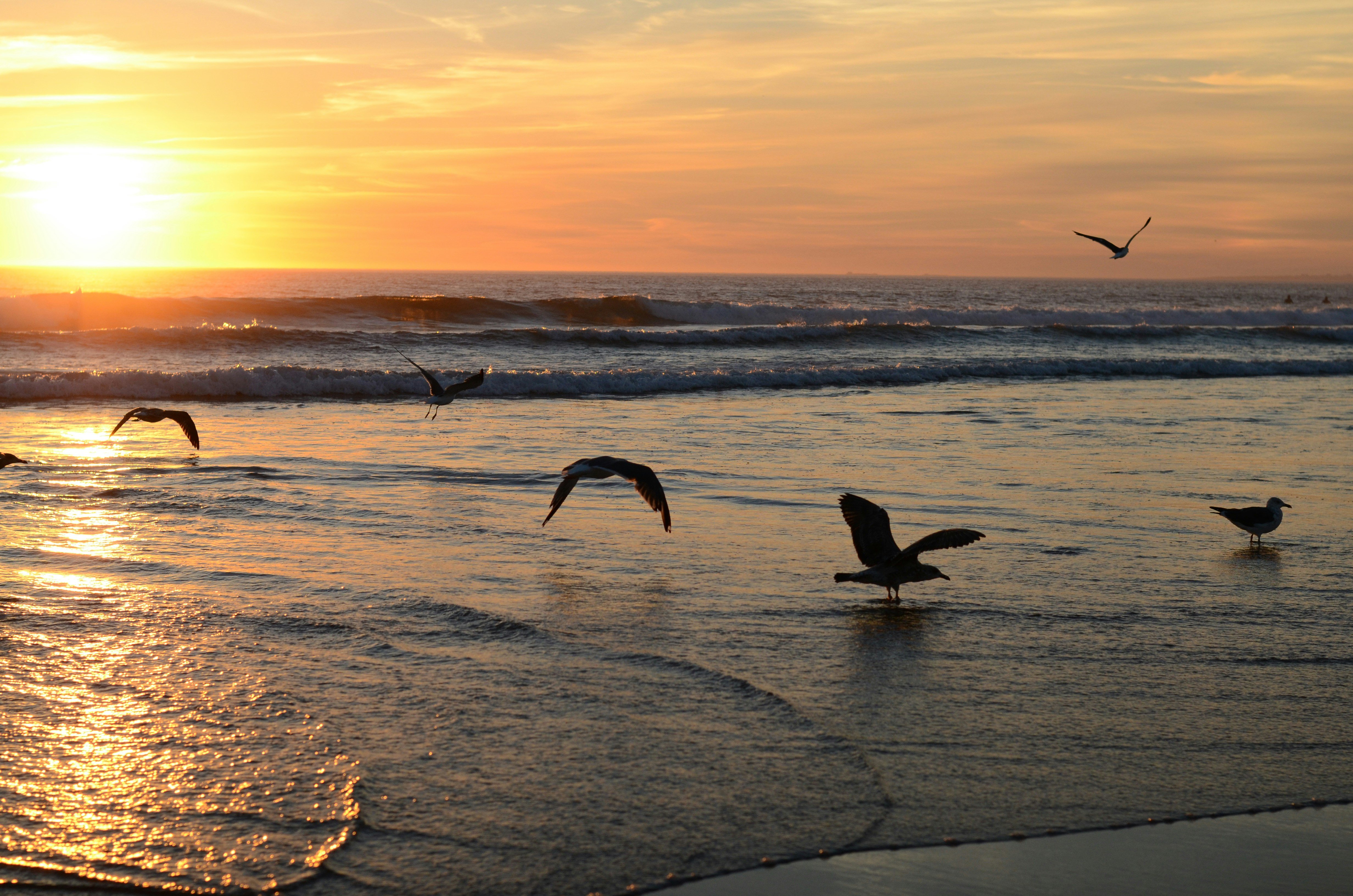 costa da caparica destino