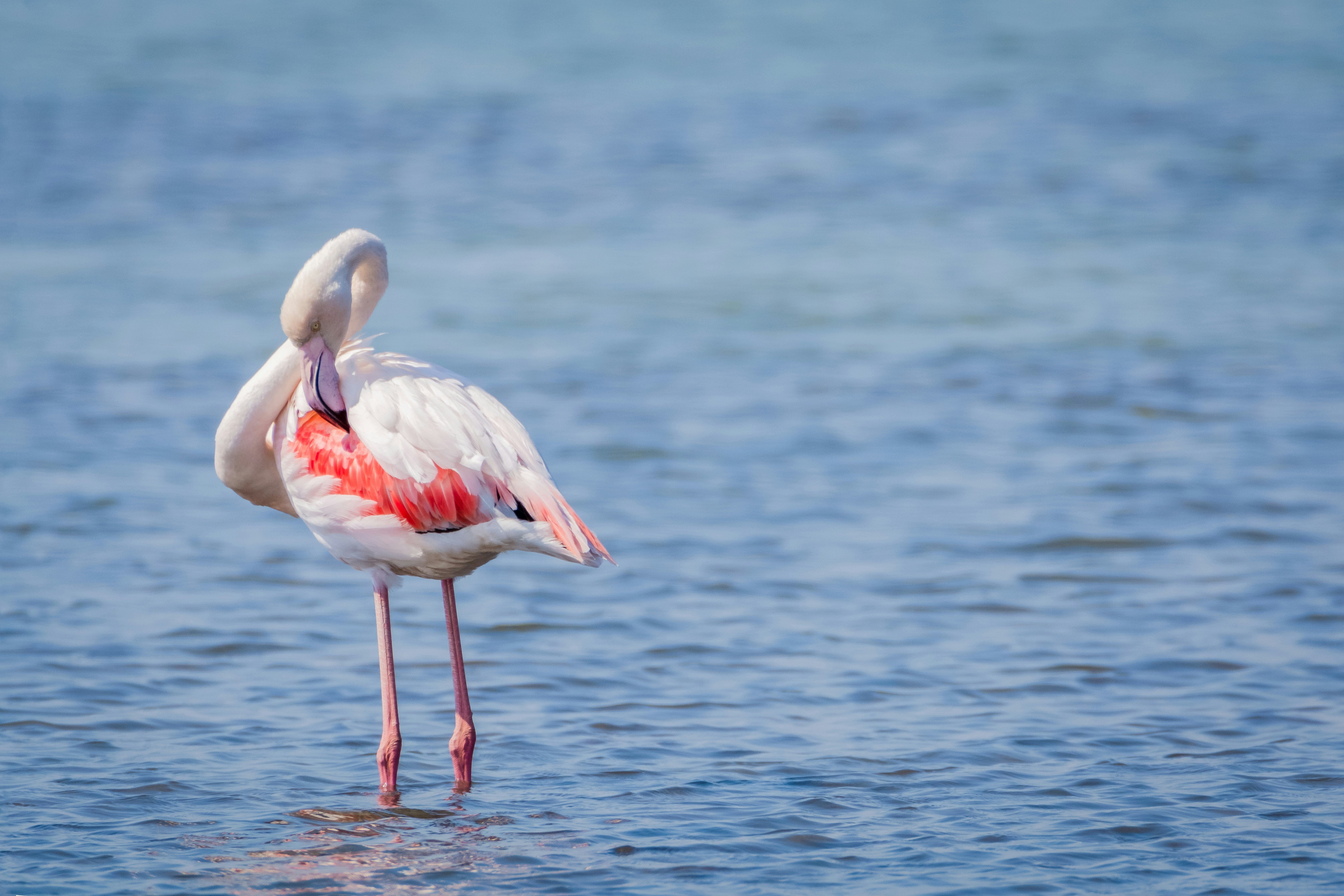 constantinos-kollias-6BsF-Pq-Lwo-unsplash