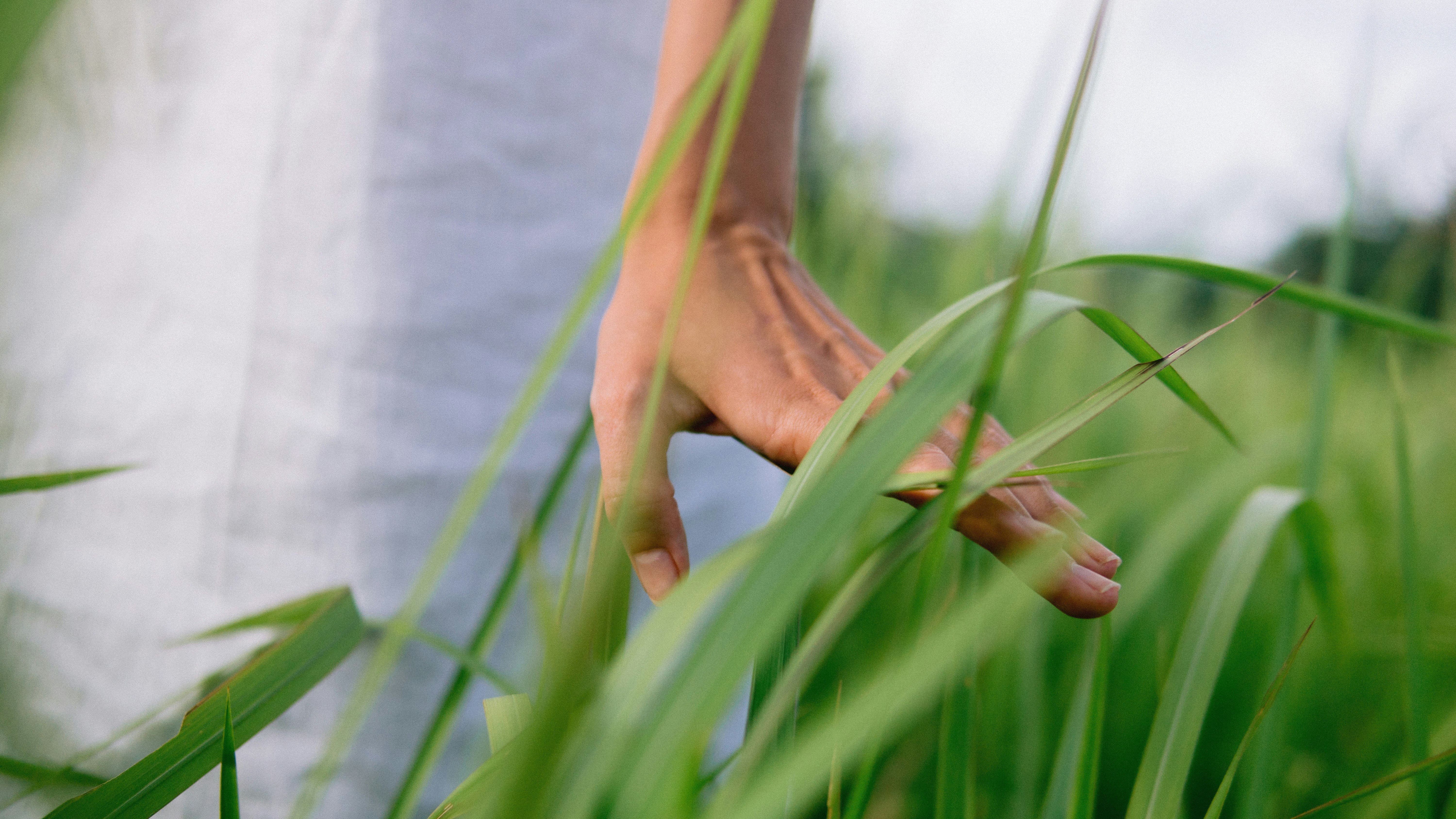 sustentabilidade